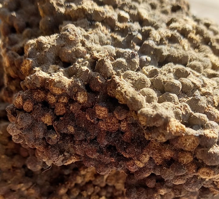 Natural Shilajit formation in the mountains of Gilgit Baltistan Pakistan