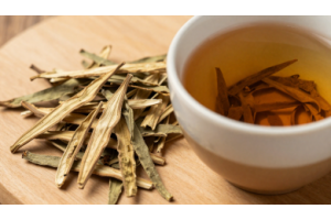 Hunza Gymnema Tea leaves and brewed herbal tea in a cup