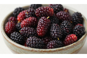 Sun-dried mulberries showcasing natural sweetness and nutrient-rich texture