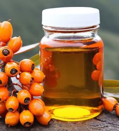 100% Pure Natural Sea Buckthorn Oil Extracted from High Altitude Himalayas, Exquisite Single Ingredient Multi Purpose No Chemicals, Hydrating Face Oil, Skin Moisturizer For Spot Treatment, Hair Oil, Hair Treatment, Anti Aging Nail Oil-50ml Sea Buckthron Oil 1200