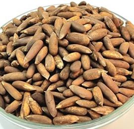 Premium Pine Nuts (Chilgoza) – Organic Himalayan Hunza Gold, Fresh & Roasted pine-nuts-hunza-chilas-chilgoza 4000